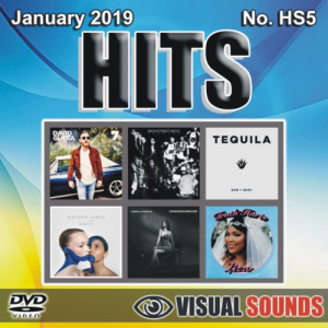 Top 40 Hits - January 2019 by Visual Sounds